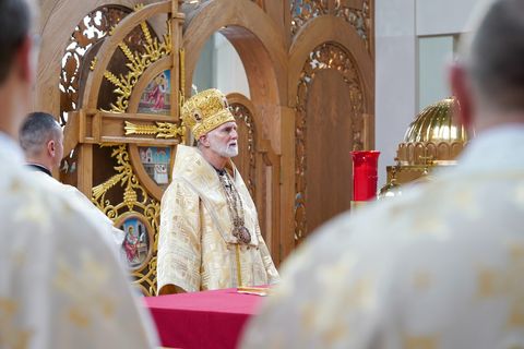 «Бог, Який шукає»: митрополит Борис Ґудзяк про Закхея, навернення і зустріч із Христом