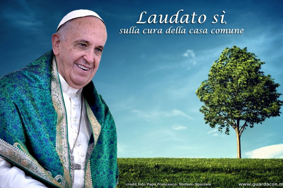 Папа на день молитви за створіння: Кожен може оберігати та плести мережу життя