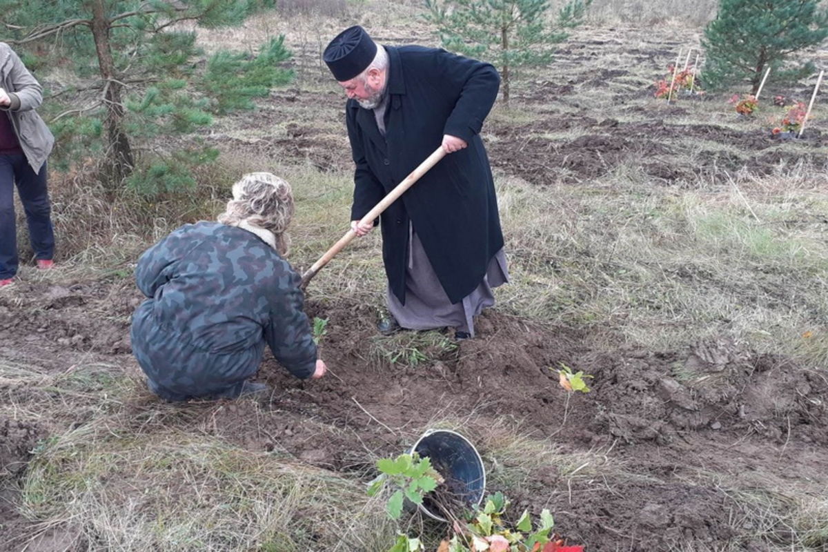 Митрополит Василь Семенюк долучився до акції «Посади мільйон дерев за 24 години»