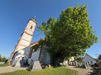 Едігнова тисячолітня липа та храм Святого Себастьяна в Пусі.