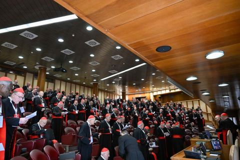 Кардинали продовжують активне приготування до конклаву: погляд на світ і його спрагу надії
