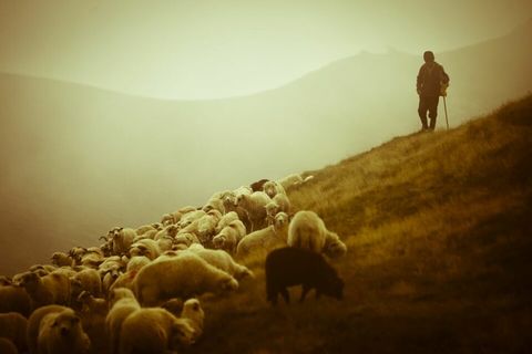 Декада місійності: День дев’ятий — Паси мої вівці