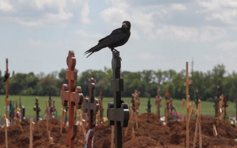 Птах сидить на хресті серед новозбудованих могил на кладовищі поблизу Маріуполя, Україна, 15 травня 2022 року, під час українсько-російського конфлікту. (Кредит: Олександр Єрмоченко/Reuters через CNS.)