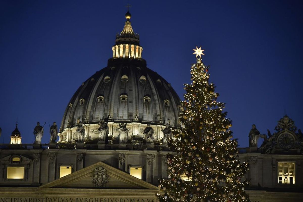 На площі Святого Петра вже сяє різдвяна ялинка