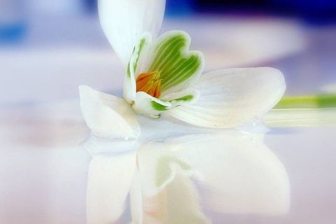 #НазустрічВоскресінню 51. «Господи і Владико життя мого, духа чистоти даруй мені!»