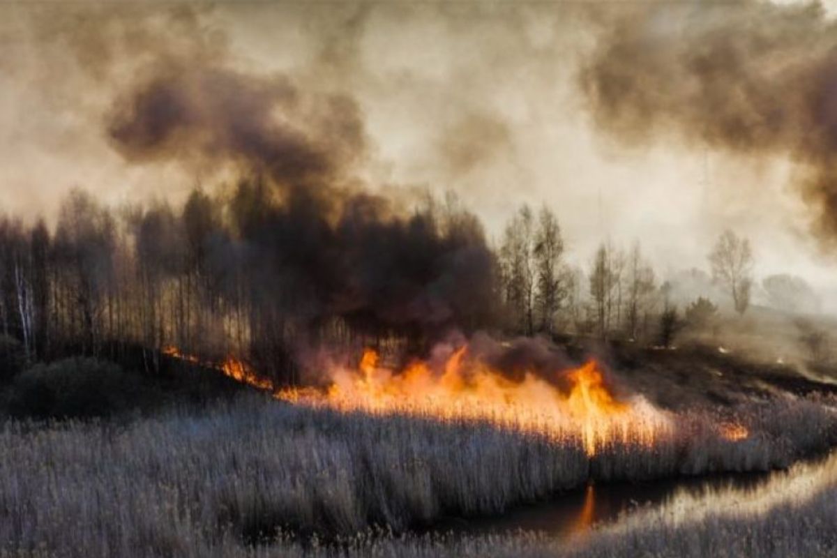 Звернення владики Василя Івасюка до вірних з причини спалення трави і лісів