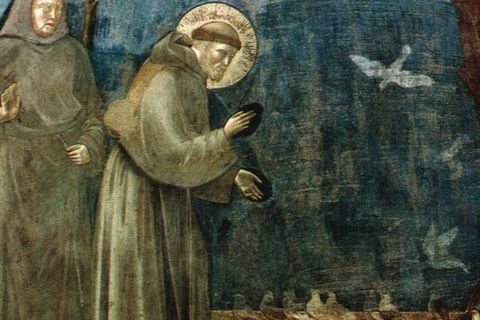 Папа Лев XIV проголосив Рік святого Франциска