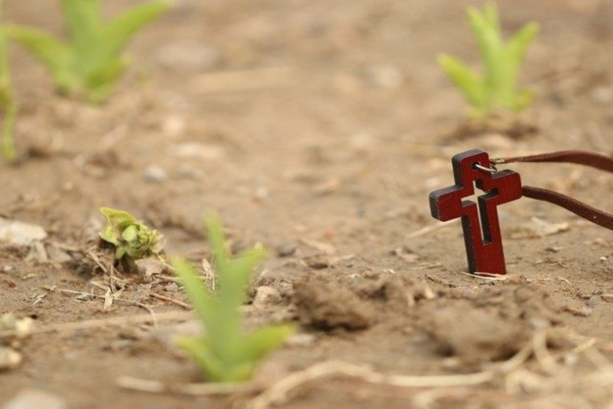 Рапорт про католиків, задіяних у душпастирство, що бути вбиті 2021 року