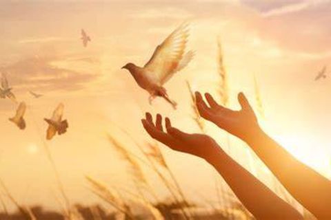 #НазустрічВоскресінню 34. Найперший «ближній», якому маємо простити