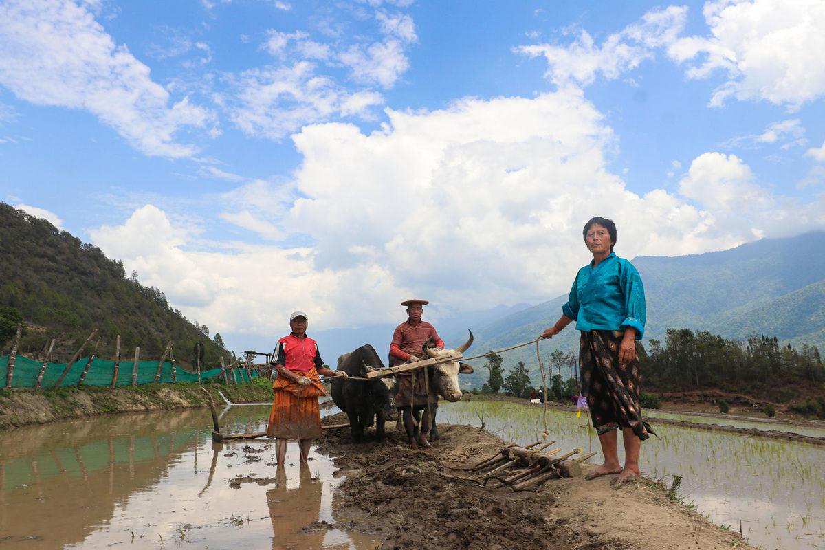 Працівниці на полях Бутану. Фото: United Nations Development Programme.