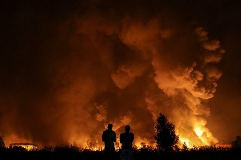 Нунцій в Україні: непокоїть чути, що хтось благословляє війну. Папа — голос миру
