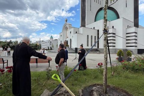 Поблизу Патріаршого собору Воскресіння Христового започатковано Алею іменних платанів